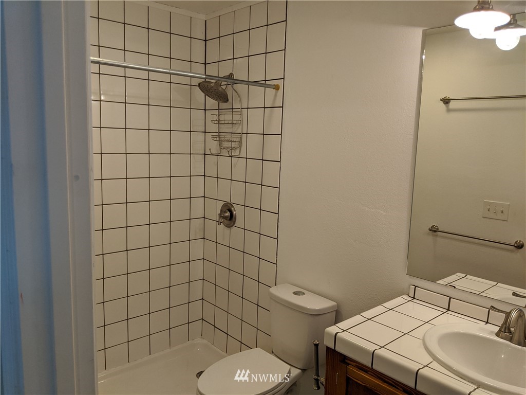3224 Locust Avenue Bellingham, WA 98225 - Photo 18 of 28 a bathroom with a sink toilet and shower