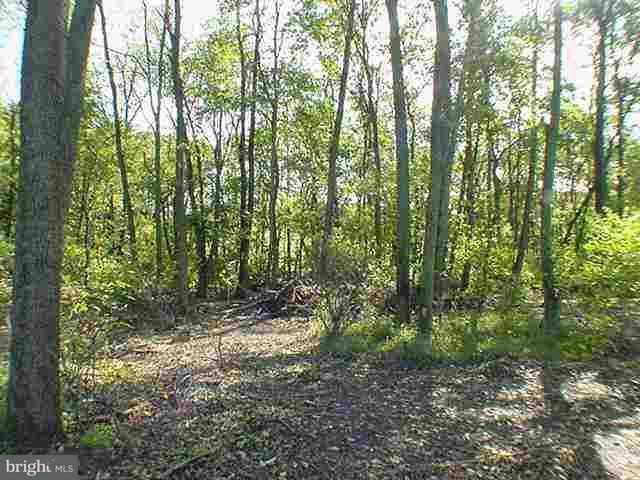 - Bullfrog Road Grantville, PA 17028 - Photo 4 of 6 Gallery Image 4