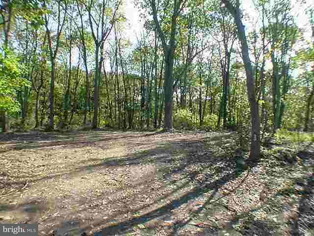 - Bullfrog Road Grantville, PA 17028 - Photo 5 of 6 Gallery Image 5