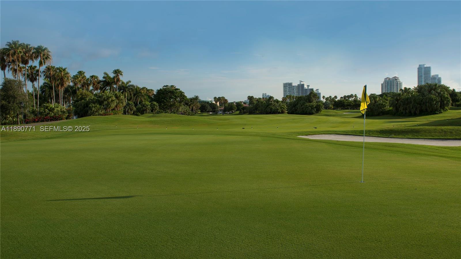 1003 Fisher Island Drive Miami Beach, FL 33109 - Photo 25 of 29 a view of a golf course with a lake