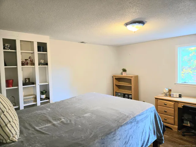 a view of a yard with plants and trees