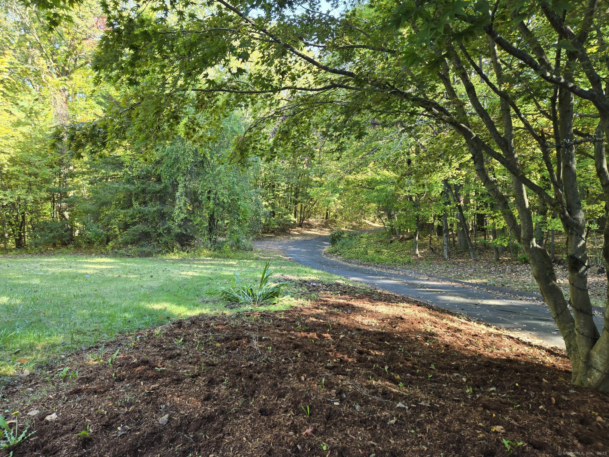 297 Wickham Road Glastonbury, CT 06033 - Photo 36 of 39 a view of a yard with plants and trees