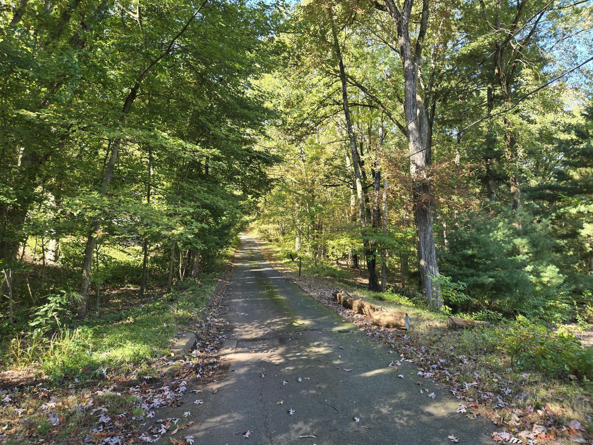 297 Wickham Road Glastonbury, CT 06033 - Photo 37 of 39 a backyard of a house with lots of green space