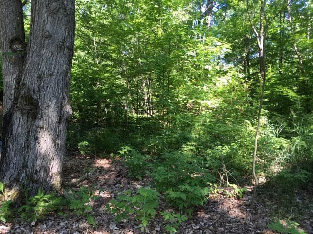 0 West Kittle Road Mio, MI 48647 - Photo 1 of 8 Gallery Image 1