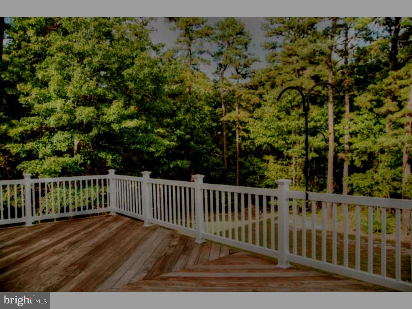 3 Pole Brook Road Jackson, NJ 08527 - Photo 4 of 13 Back Yard