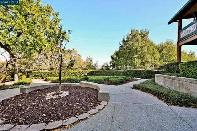 a view of a park with large trees