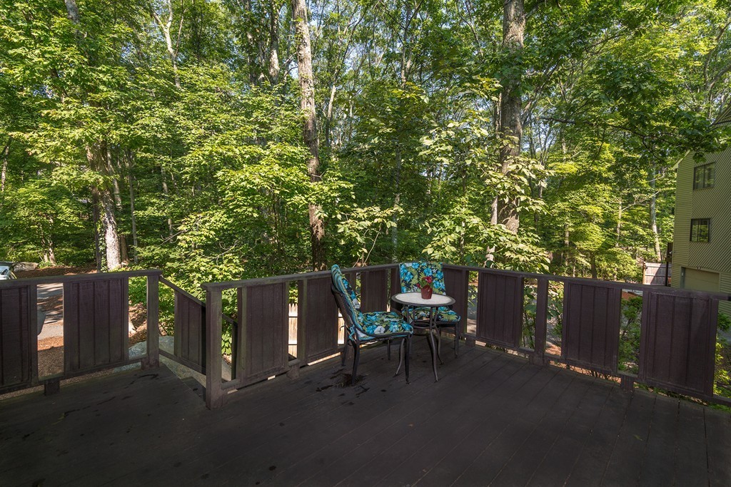 39 Mountain Gate Road, Unit 39 Ashland, MA 01721 - Photo 23 of 30 a view of backyard with seating area