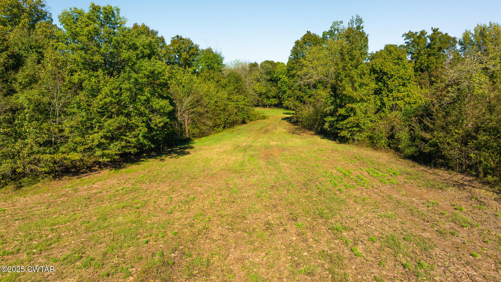 2 Hearn Road Greenfield, TN 38230 - Photo 3 of 13 DJI_20251009103457_0087_D