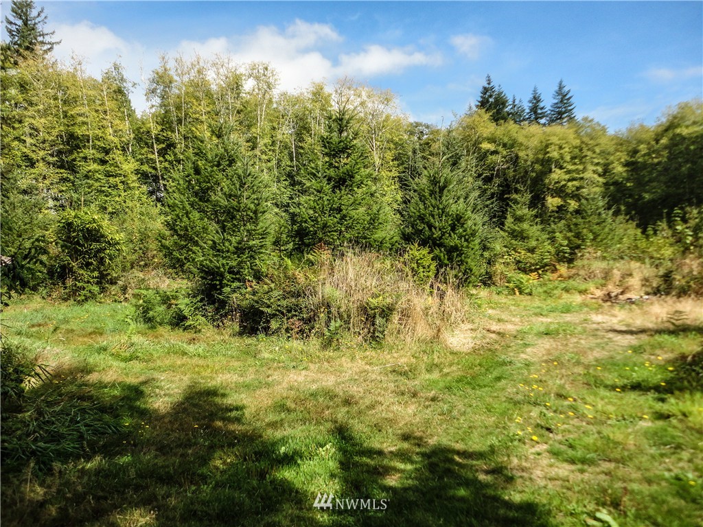 122 Moore Road Elma, WA 98541 - Photo 18 of 25 Gallery Image 18