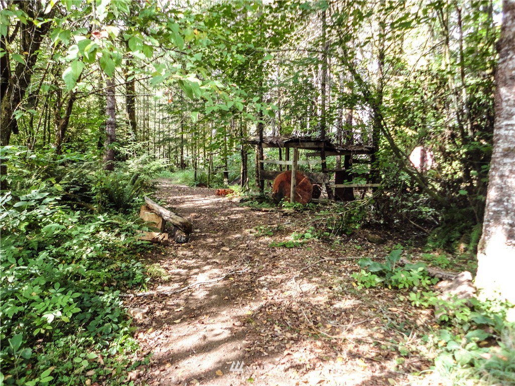 122 Moore Road Elma, WA 98541 - Photo 19 of 25 Gallery Image 19