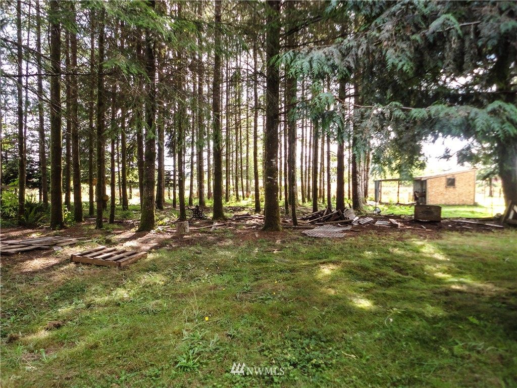 122 Moore Road Elma, WA 98541 - Photo 24 of 25 Gallery Image 24