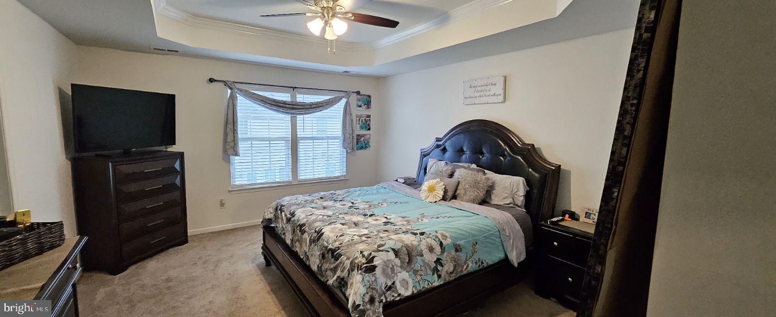 658 Barrie Road Middletown, DE 19709 - Photo 11 of 20 Master Bedroom w/ Tray Ceiling