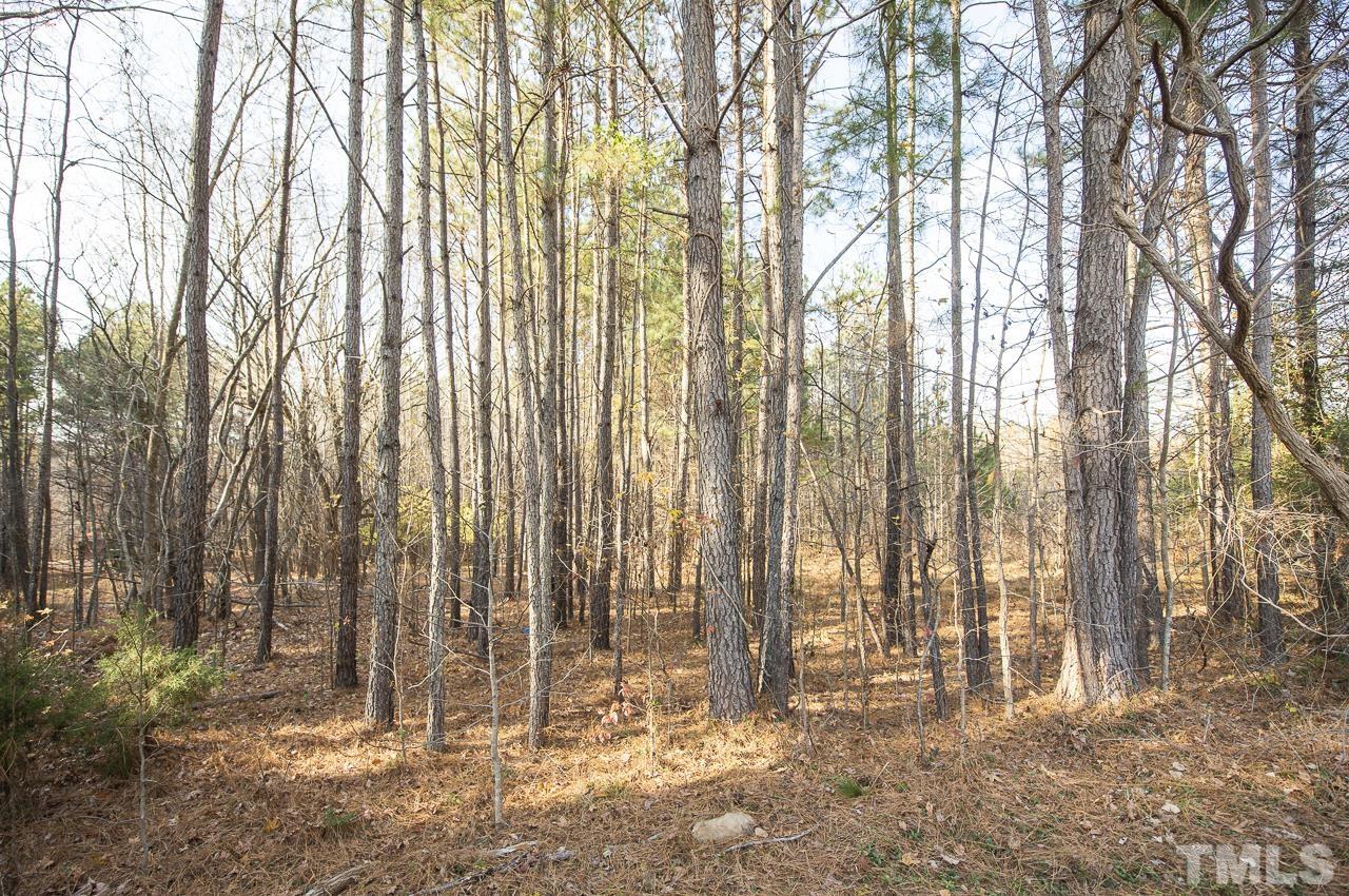 5607 Guess Road Durham, NC 27712 - Photo 5 of 7