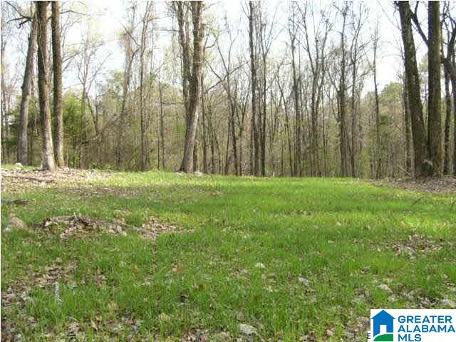 0 Spring Creek Road, Unit 30 AC Calera, AL 35040 - Photo 18 of 20