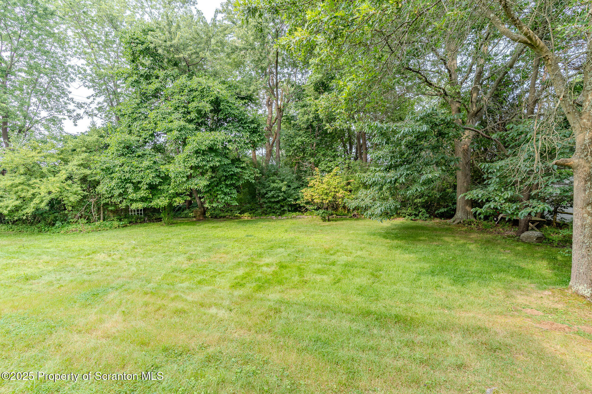 1001 Pheasant Run Road Clarks Summit, PA 18411 - Photo 47 of 52 Yard