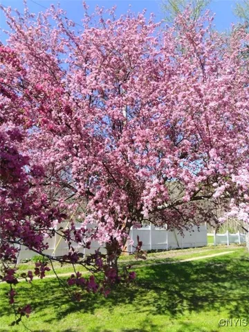 $145,000 | 11797 Highway 70, Grove, NY 14884