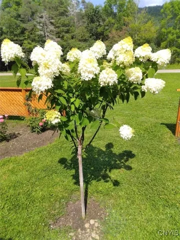 $145,000 | 11797 Highway 70, Grove, NY 14884