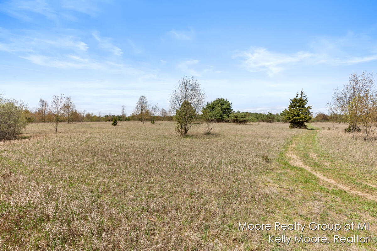 9331 Baker Road Greenville, MI 48838 - Photo 17 of 22 IMG_1012 (1)