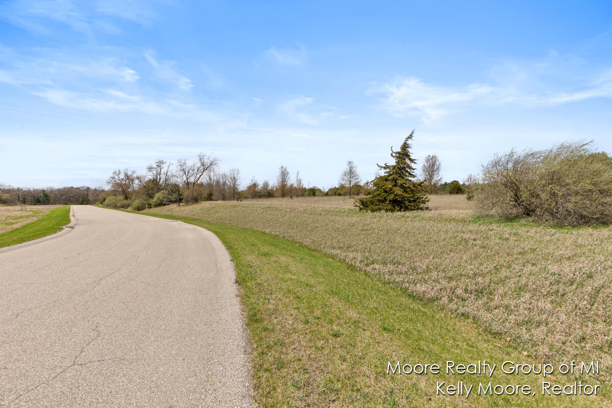 9331 Baker Road Greenville, MI 48838 - Photo 20 of 22 IMG_1013 (1)