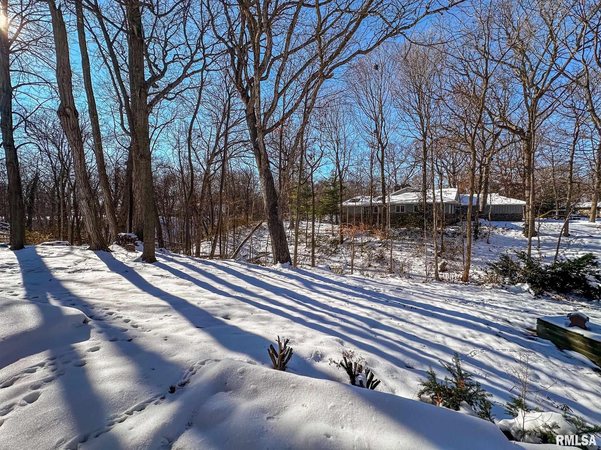 10105 Hickory Road Tremont, IL 61568 - Photo 53 of 56