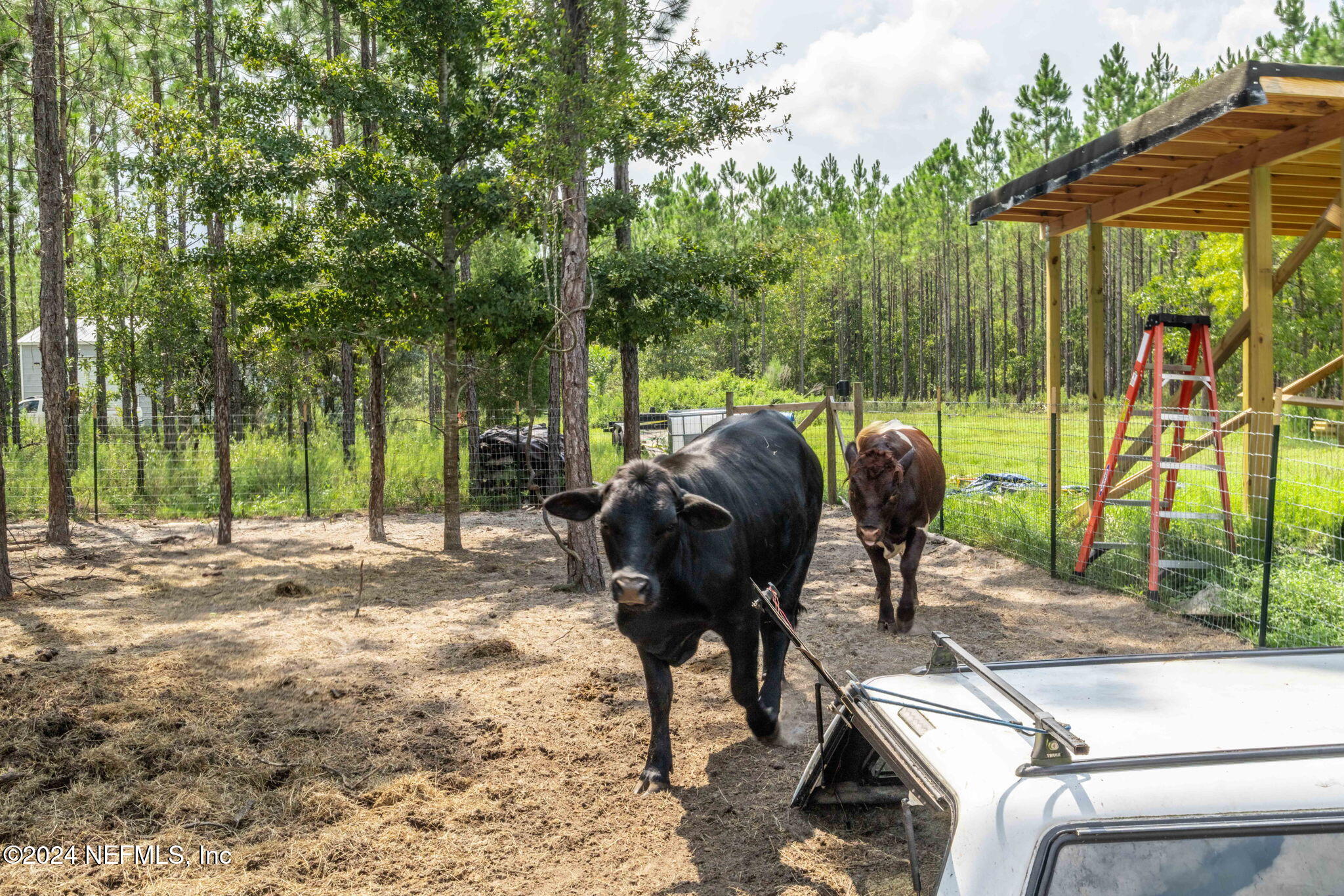 5490 Steel Bridge Road Macclenny, FL 32063 - Photo 86 of 108 ISO_5490 Steel Bridge Rd_Macclenny FL_09