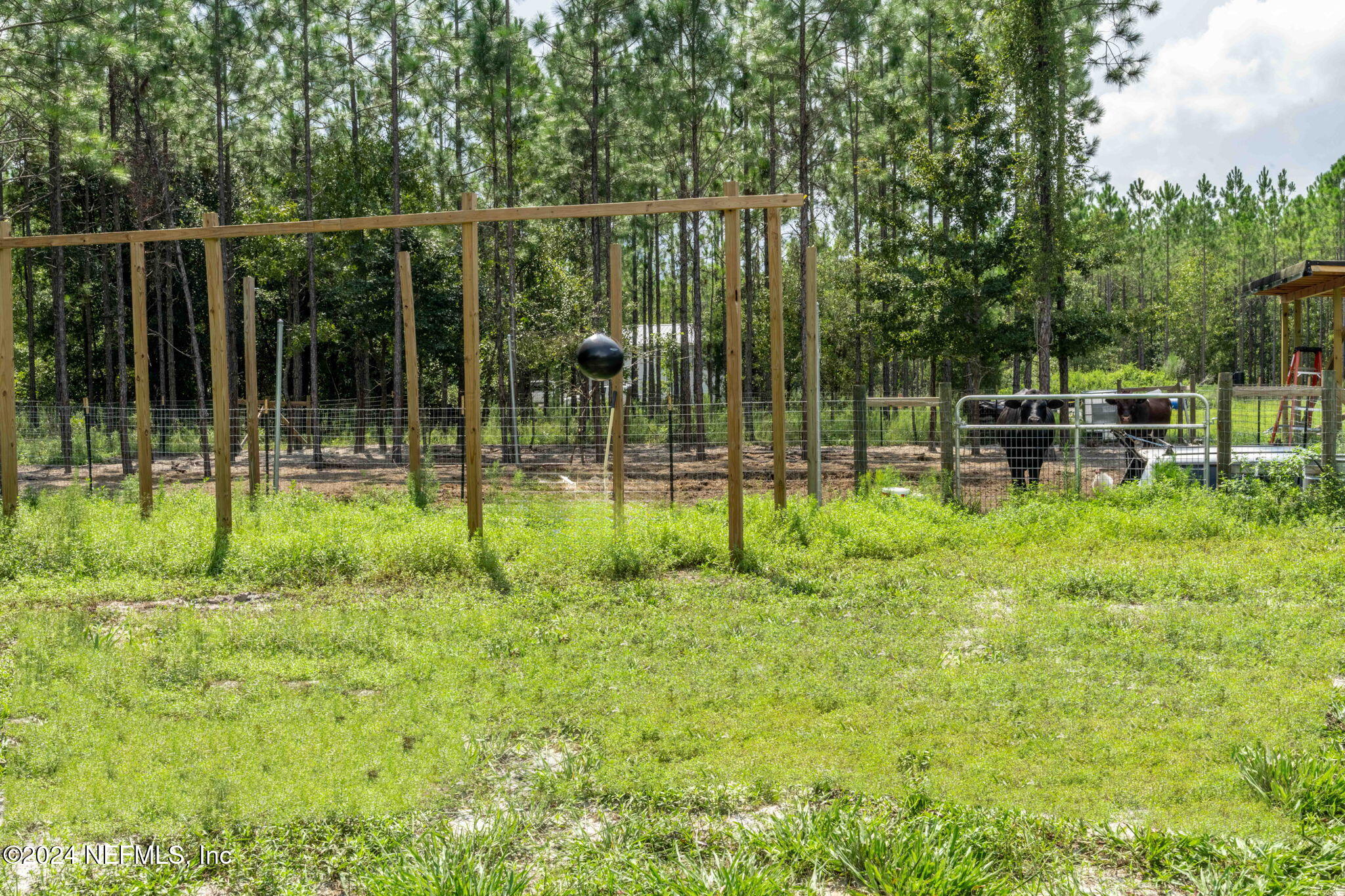 5490 Steel Bridge Road Macclenny, FL 32063 - Photo 88 of 108 ISO_5490 Steel Bridge Rd_Macclenny FL_09