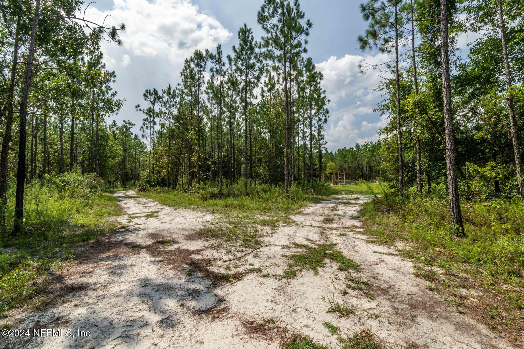 5490 Steel Bridge Road Macclenny, FL 32063 - Photo 90 of 108 ISO_5490 Steel Bridge Rd_Macclenny FL_10