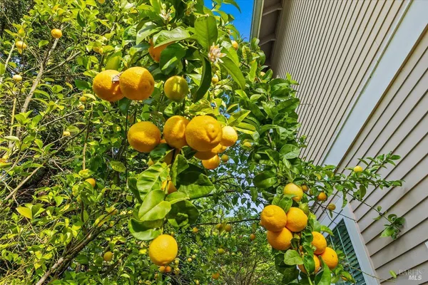 $2,550,000 | 134 Moonlight Drive, Healdsburg, CA 95448