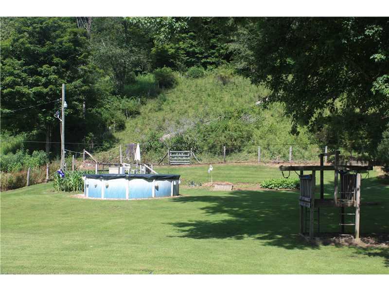 807 Rudolph Run Road Spraggs, PA 15362 - Photo 13 of 14 Land. pool and garden