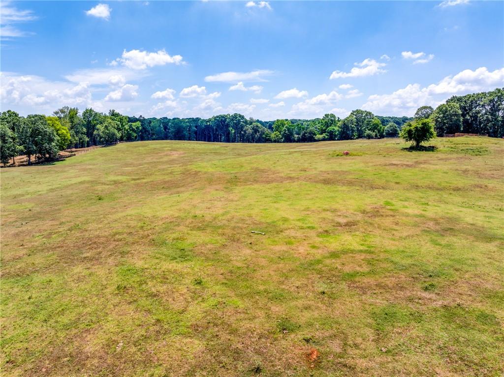 1650 Locklin Cemetery Road Monroe, GA 30655 - Photo 14 of 64