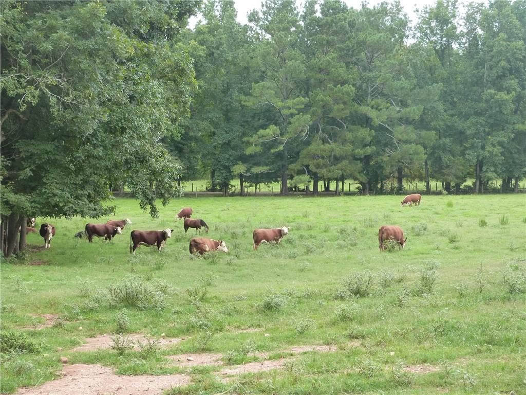 1650 Locklin Cemetery Road Monroe, GA 30655 - Photo 16 of 72