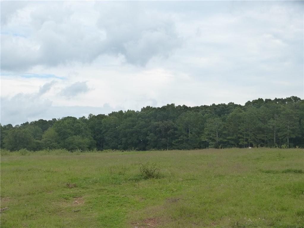 1650 Locklin Cemetery Road Monroe, GA 30655 - Photo 17 of 72