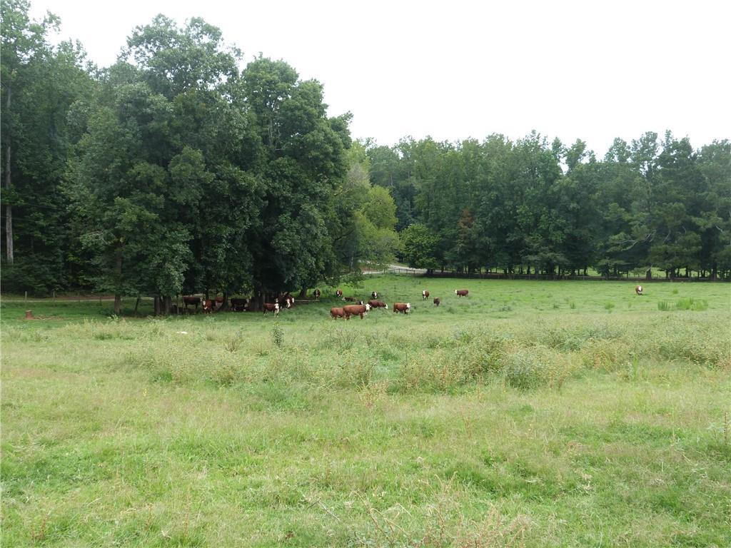 1650 Locklin Cemetery Road Monroe, GA 30655 - Photo 19 of 72 a view of outdoor space with deck and yard