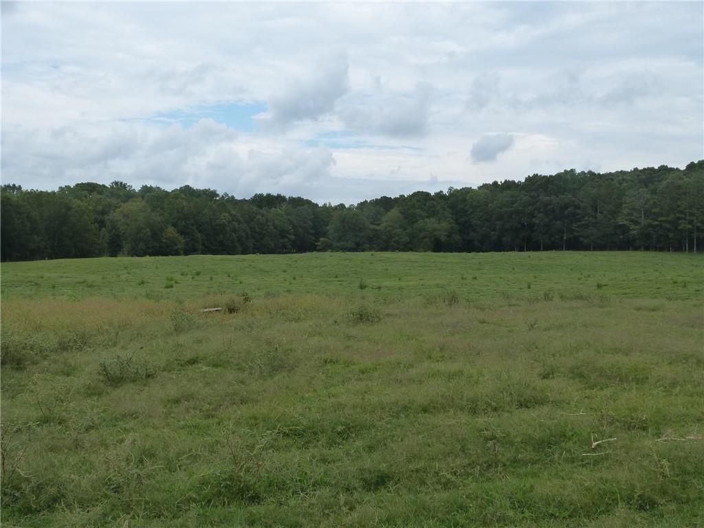1650 Locklin Cemetery Road Monroe, GA 30655 - Photo 20 of 72 a view of an outdoor space and a yard