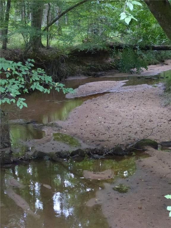 1650 Locklin Cemetery Road Monroe, GA 30655 - Photo 21 of 72