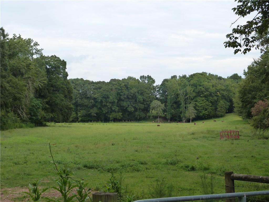 1650 Locklin Cemetery Road Monroe, GA 30655 - Photo 23 of 64