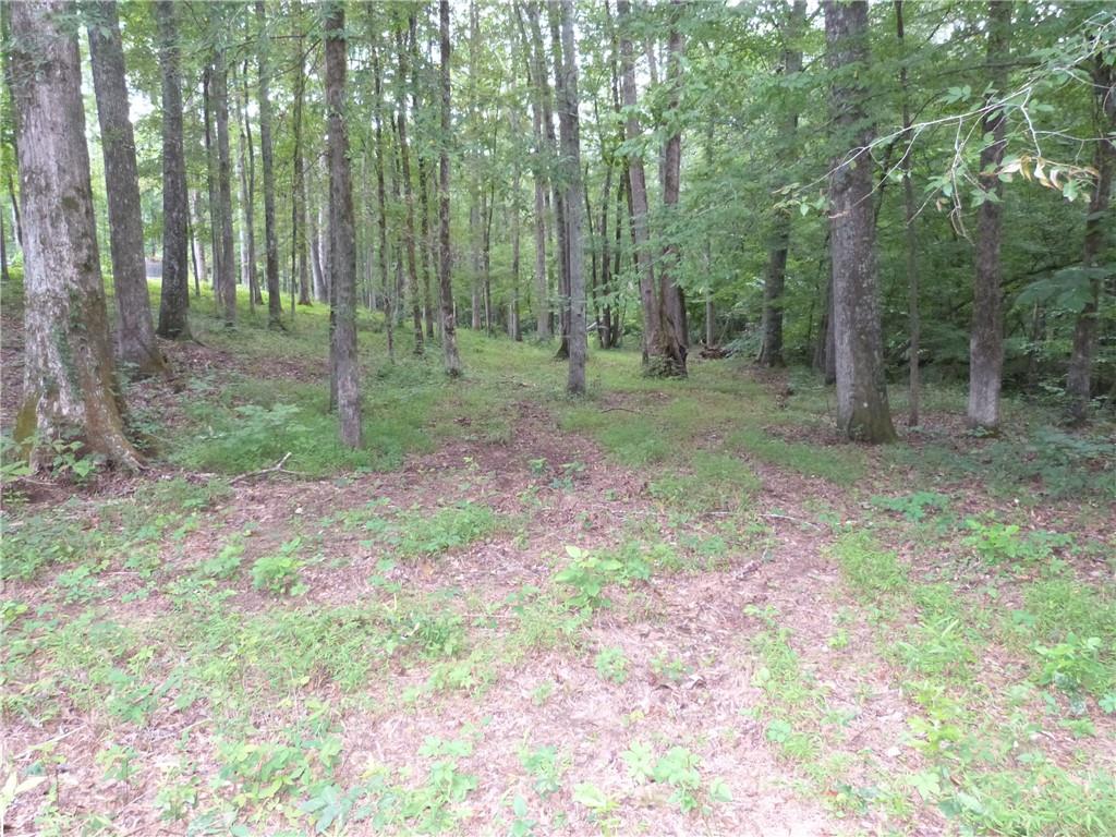 1650 Locklin Cemetery Road Monroe, GA 30655 - Photo 23 of 72 a view of a forest with trees in the background