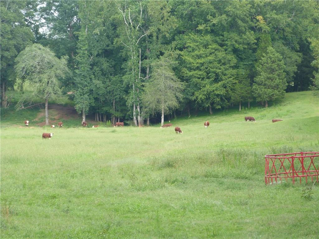 1650 Locklin Cemetery Road Monroe, GA 30655 - Photo 25 of 72
