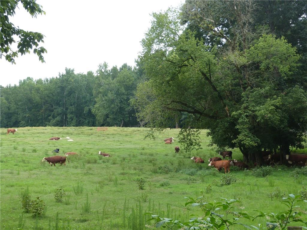 1650 Locklin Cemetery Road Monroe, GA 30655 - Photo 26 of 72 a view of outdoor space and yard
