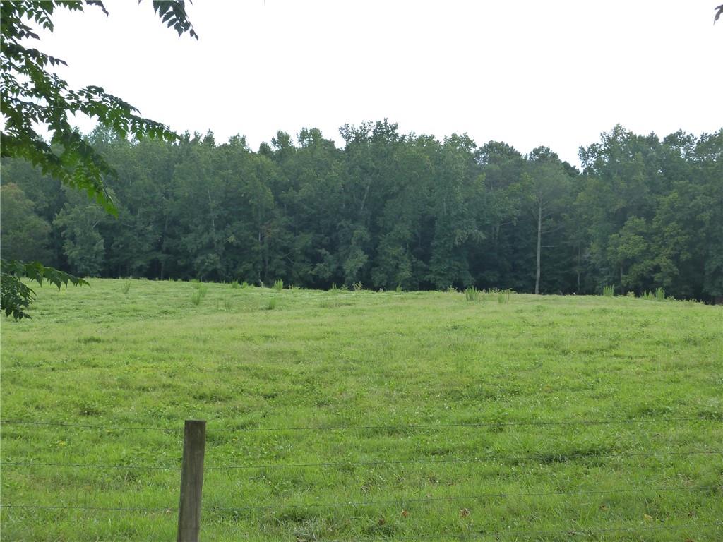 1650 Locklin Cemetery Road Monroe, GA 30655 - Photo 27 of 72
