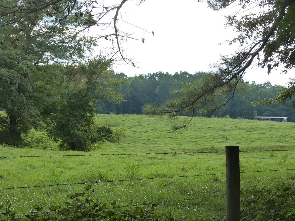 1650 Locklin Cemetery Road Monroe, GA 30655 - Photo 28 of 72