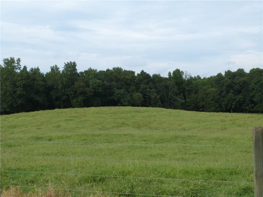 1650 Locklin Cemetery Road Monroe, GA 30655 - Photo 29 of 72 a view of a field of grass and trees