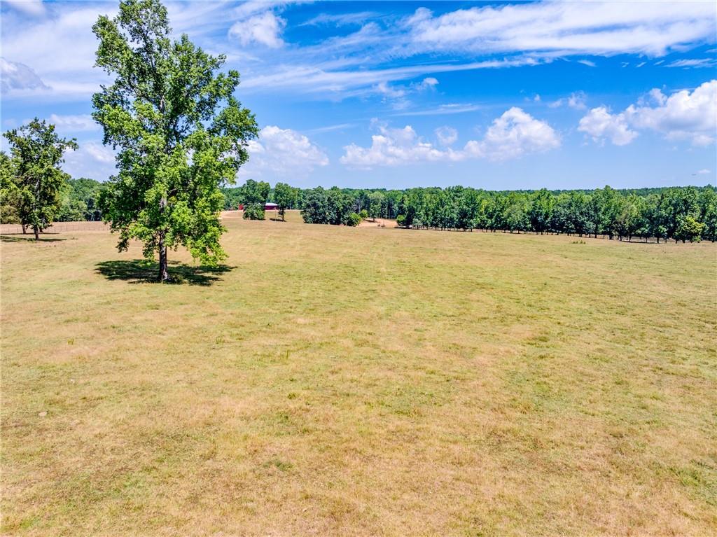 1650 Locklin Cemetery Road Monroe, GA 30655 - Photo 4 of 64