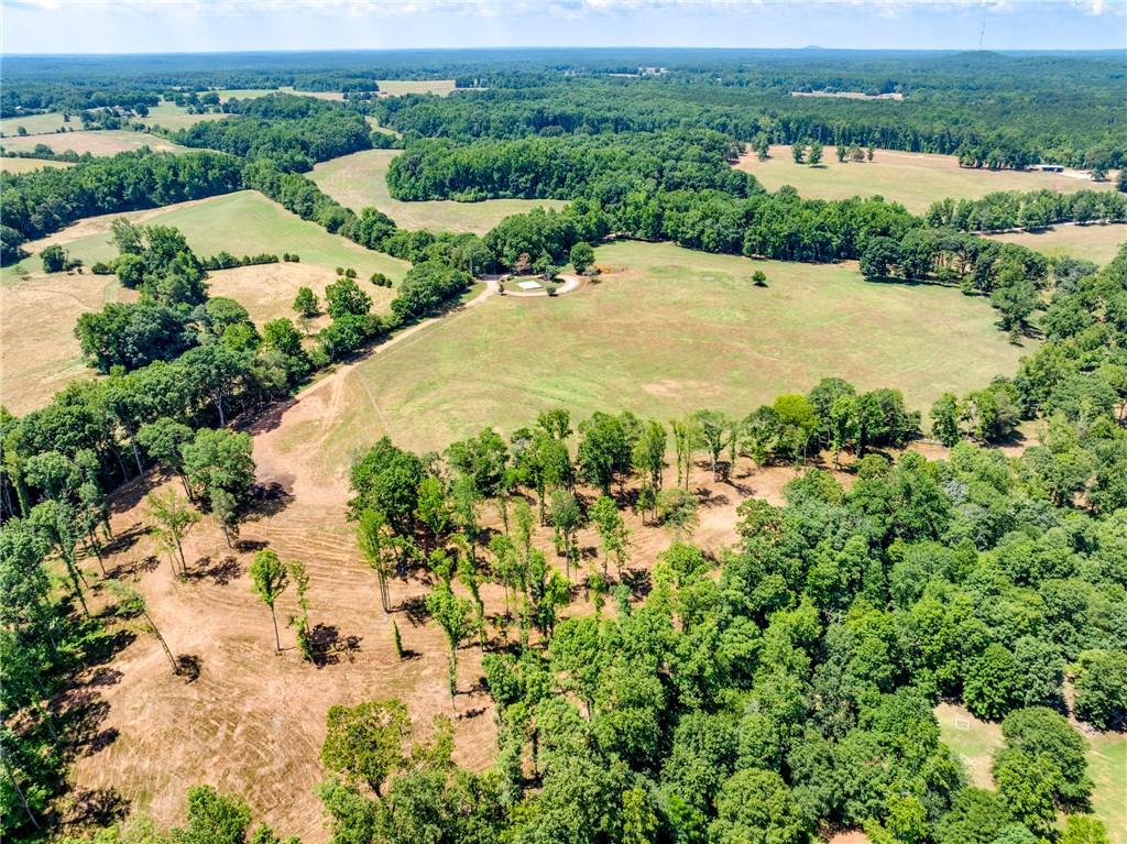 1650 Locklin Cemetery Road Monroe, GA 30655 - Photo 6 of 72 an aerial view of a houses with yard and lake view