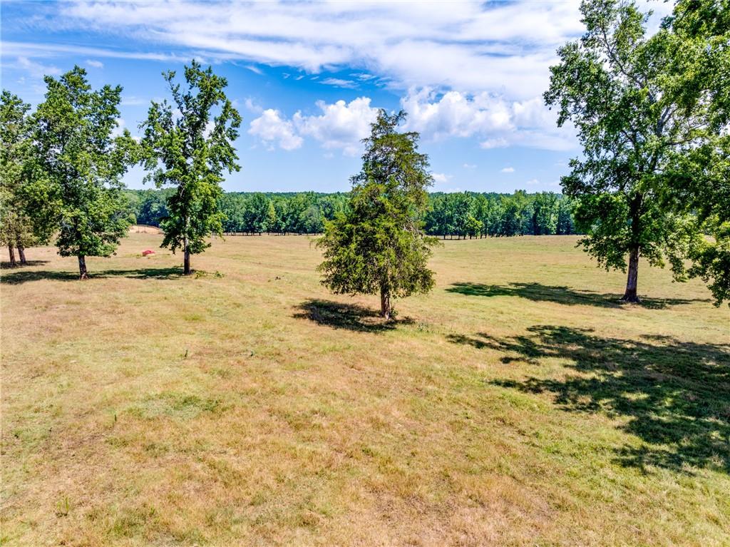 1650 Locklin Cemetery Road Monroe, GA 30655 - Photo 7 of 72 a view of a yard with an trees