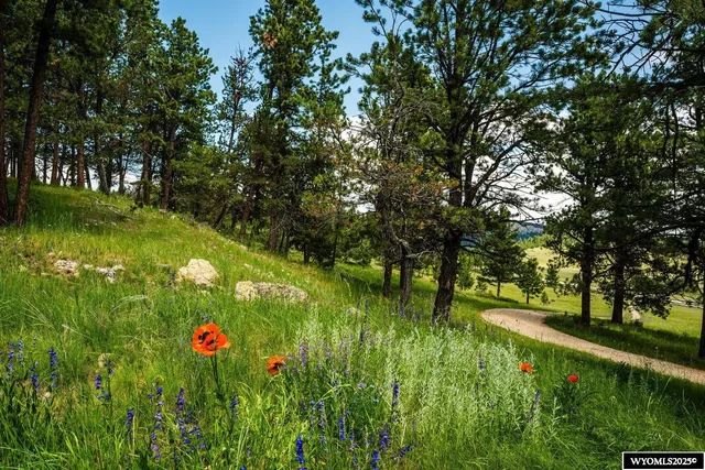 $825,000 | 596 Billy Creek Road, Buffalo, WY 82834