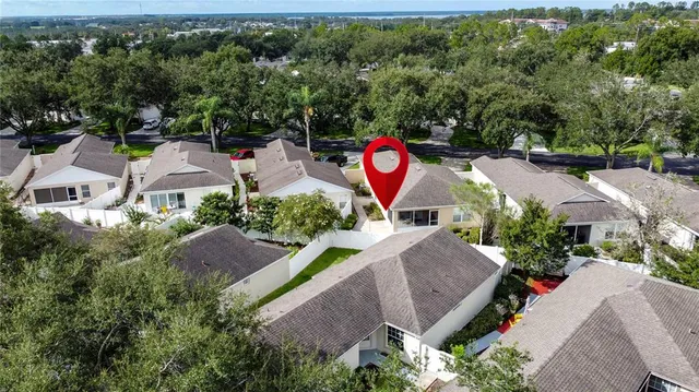 a view of backyard with large trees and plants