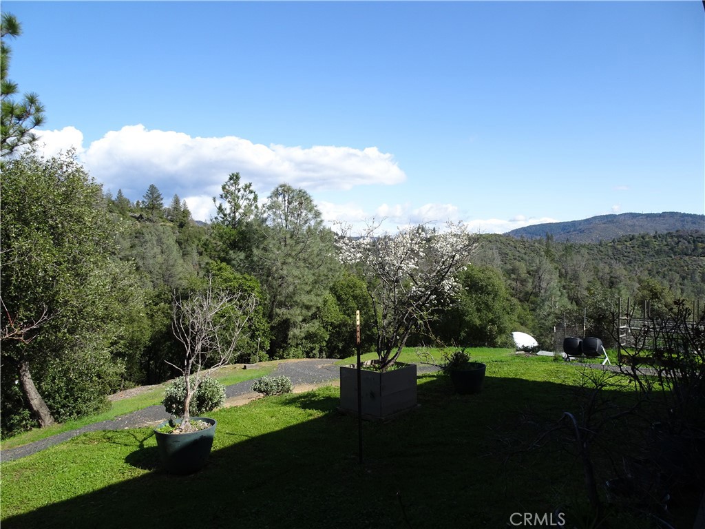 240 Rich Gulch Road Oroville, CA 95965 - Photo 11 of 49 a view of a big yard