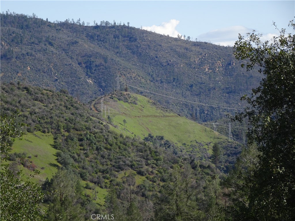 240 Rich Gulch Road Oroville, CA 95965 - Photo 15 of 49 a view of a dry yard with trees
