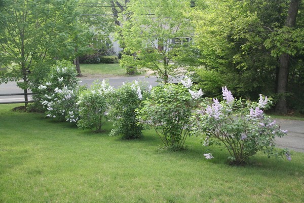 141 Brickyard Road Southampton, MA 01073 - Photo 27 of 27